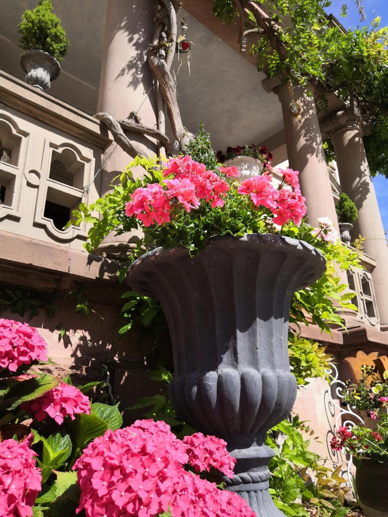 Hotel Castelnau Colmar Pokoj fotografie